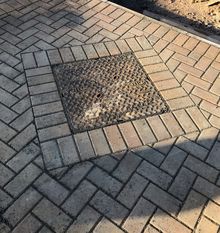 IMG-6589.jpeg IMG-6589.jpeg